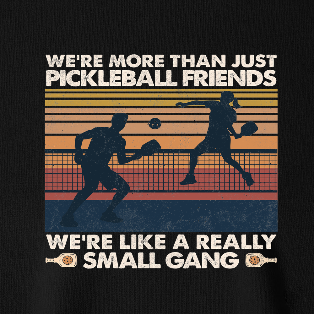 We're More Than Just Pickleball Friends We're like A Really Small Gang Vintage V-Neck T-Shirt - Picklechillz