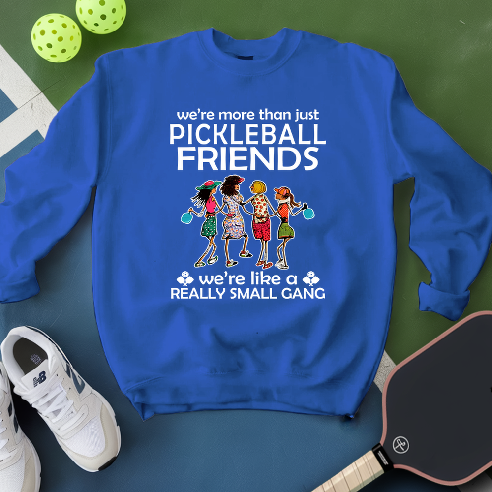 Blue sweatshirt with pickleball-themed design on a green surface with pickleballs and shoes.